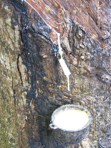 rubber tap